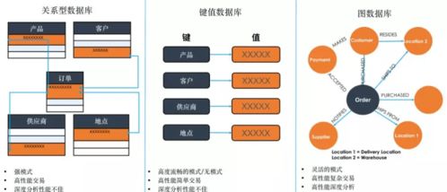 數字化轉型浪潮下，TigerGraph圖技術能否成為數字技術服務新寵兒？
